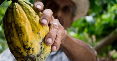 farm worker jobs