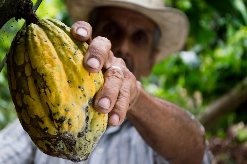 farm worker jobs