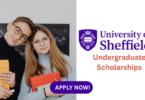 University Of Sheffield