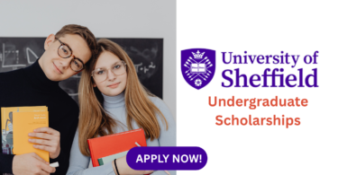 University Of Sheffield