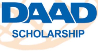 daad scholarships